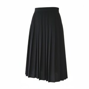 VINTAGE DU JOUR, PLEATED CREPE  PLEATED, A LINE MIDI SKIRT. EUC 18W
